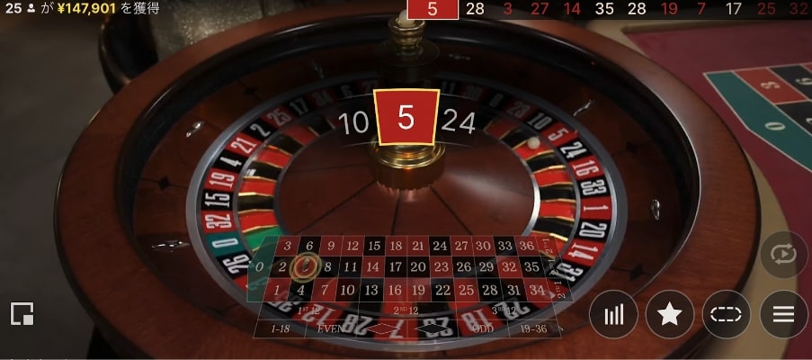 モンテカルロ法の実践の様子