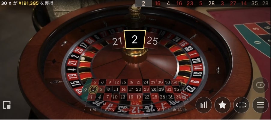 モンテカルロ法の実践の様子