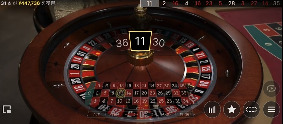 モンテカルロ法の実践の様子