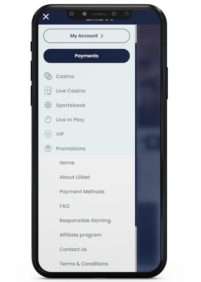 deposits with Paysafecard at Lilibet Step 1